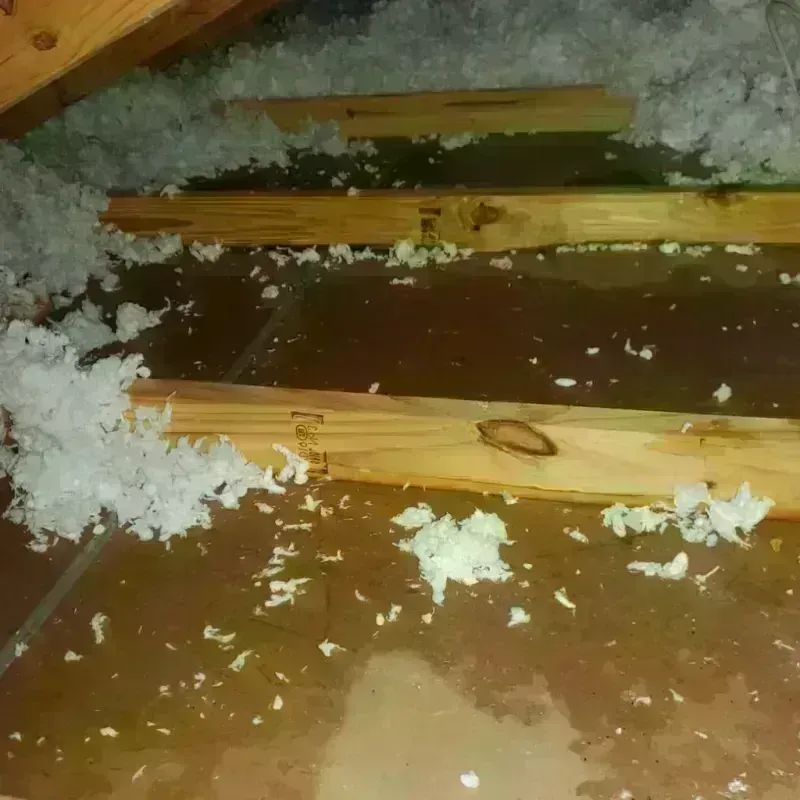 Attic Water Damage in Oliver, PA