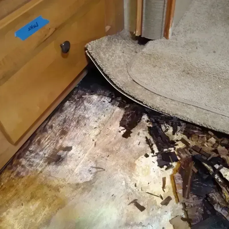 Best Wood Floor Water Damage Service in Oliver, PA